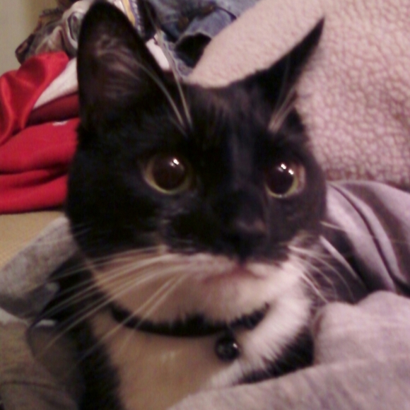 All my kids have paws - Picture 7 of 7